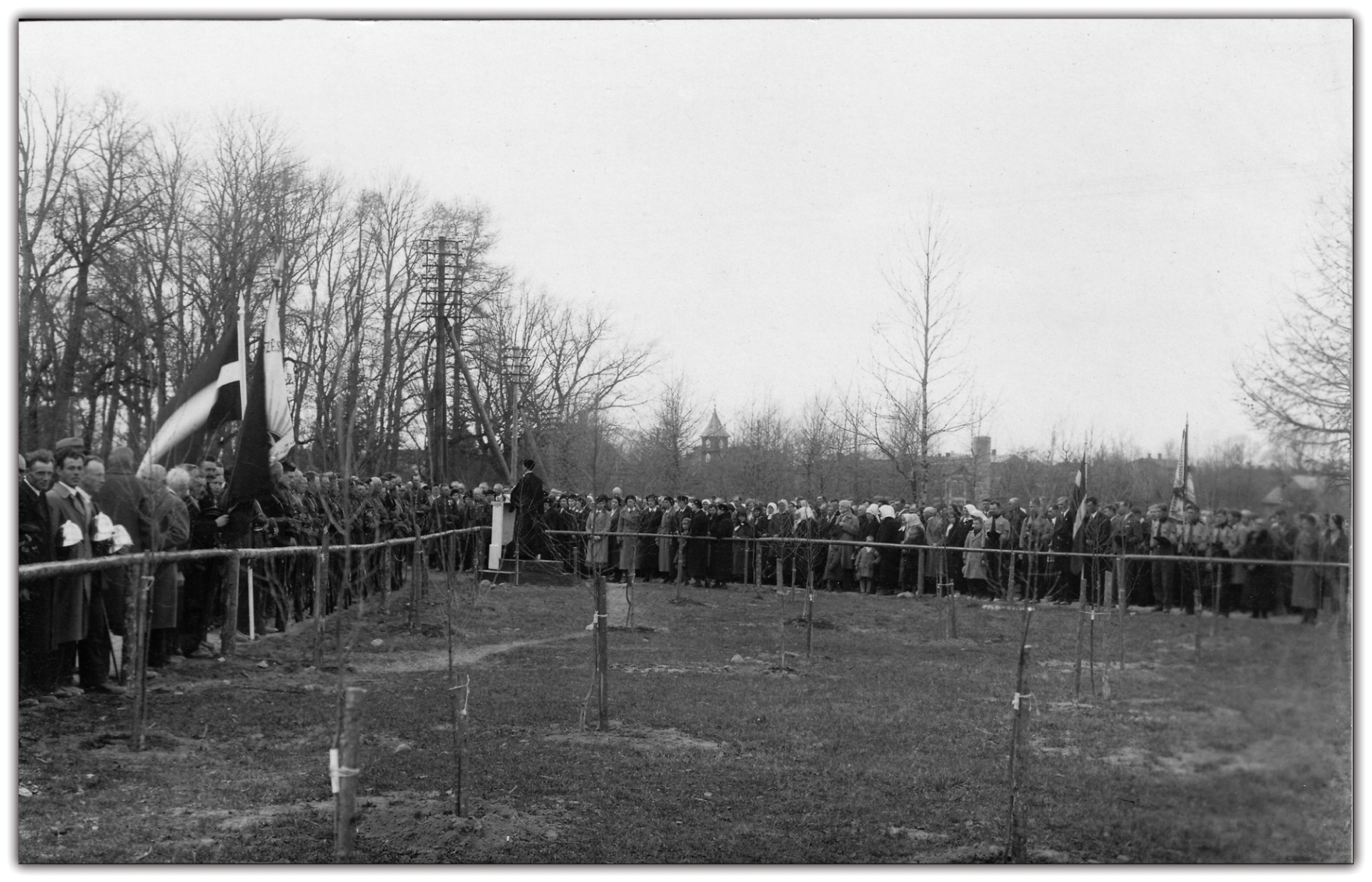 15. maija birzs stādīšana Mazsalacā 1935. gada pavasarī 